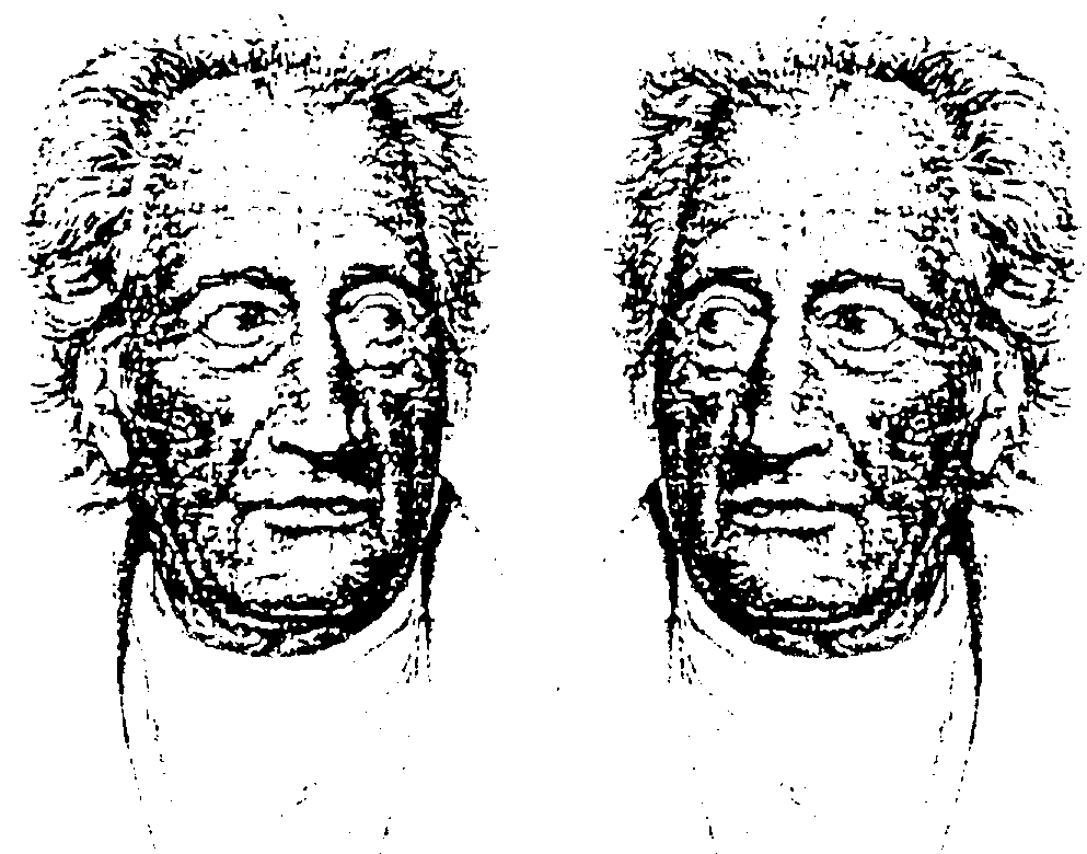 Goethe-2.gif (36626 bytes)
