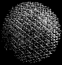 igel2.gif (4123 bytes)
