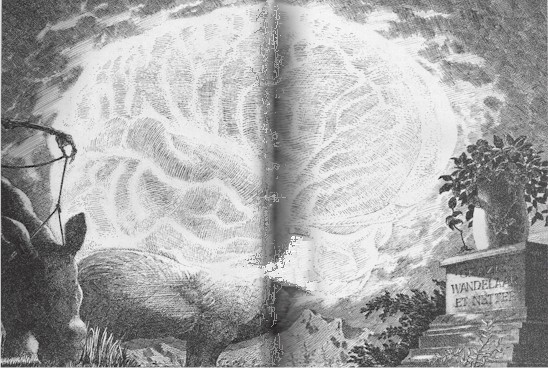 brain5nuc.jpg (88268 bytes)