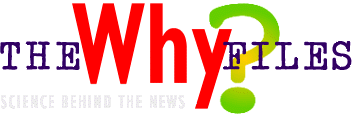 whyfiles1.gif (7289 bytes)